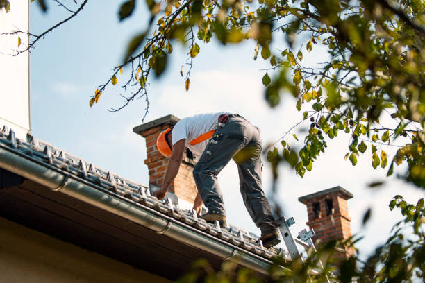 Best Cold Roofs  in Baltic, SD