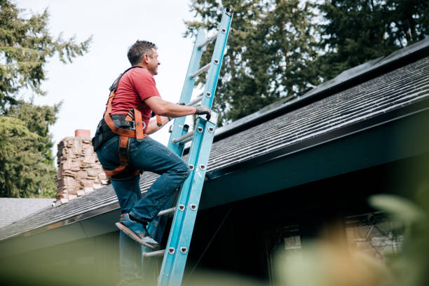 Best Gutter Installation and Repair  in Baltic, SD